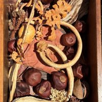 52, 10” x 17”, $50