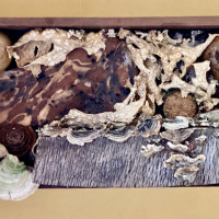 58, 12.5" x 6.5”, $50