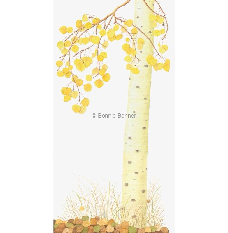 Aspen Full, 24 x 45, $350