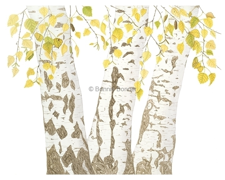 Birch Trees, 32 x 24, $300
