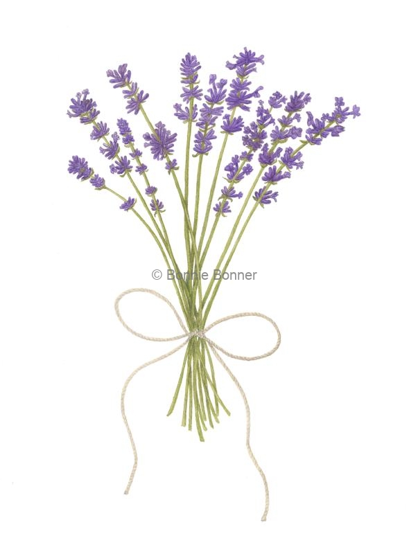 Lavender, 16 x 20, $100