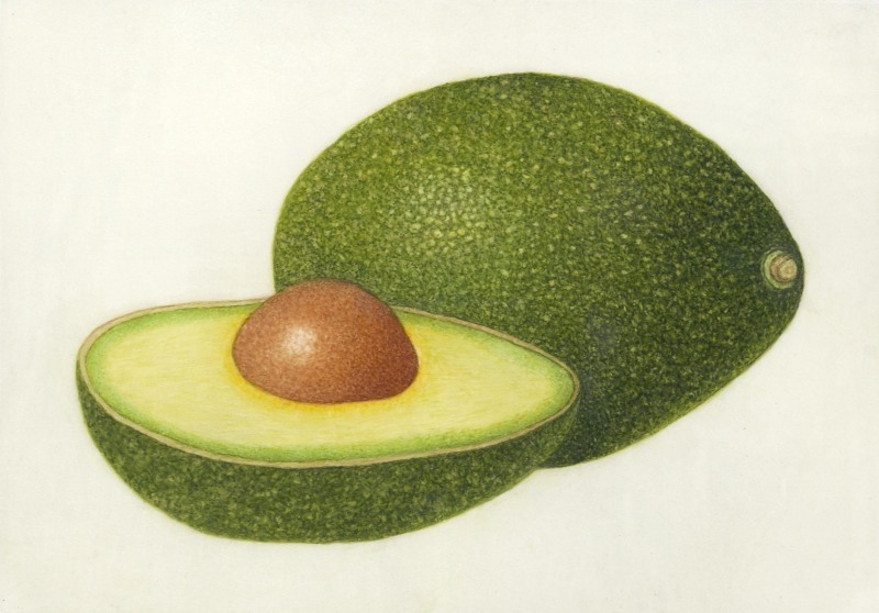 Avocado , 12 x 10, $100