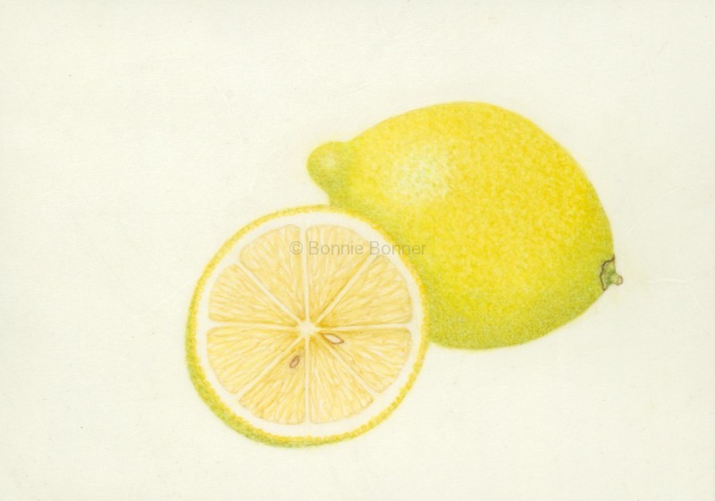 Eureka Lemon on Vellum, 12 x 10, $100