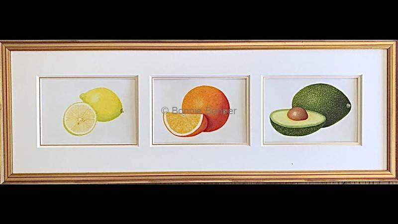 Three Fruits on Vellum 9” x 27” $ 250