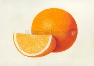 Navel Orange on Vellum, 12 x 10, $100