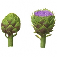 Artichoke, 16 x 20, $175