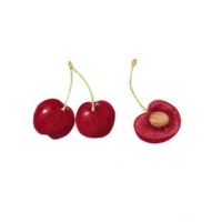 Cherry, 11 x 14, $65