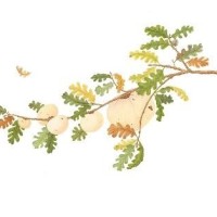 Valley Oak Galls, 20 x 16, $175