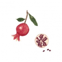Pomegranate, 14 x 16, $125