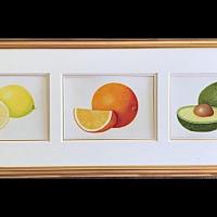 Three Fruits on Vellum 9” x 27” $ 250