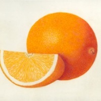 Navel Orange on Vellum, 12 x 10, $100